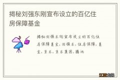 揭秘刘强东刚宣布设立的百亿住房保障基金