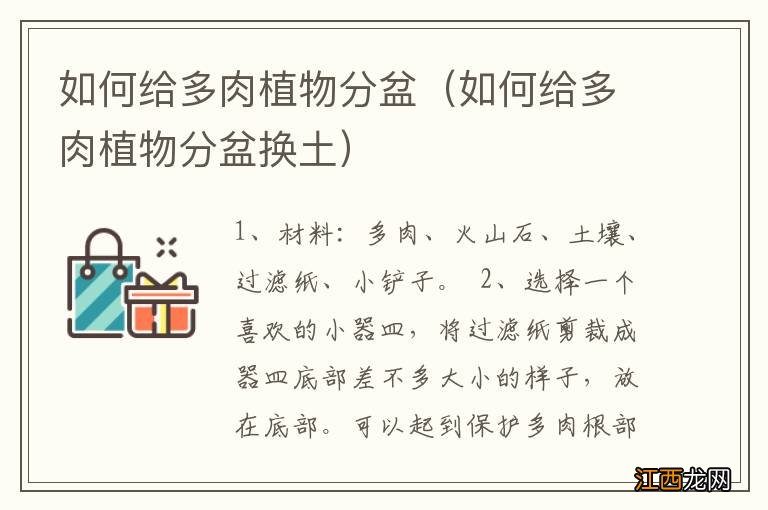 如何给多肉植物分盆换土 如何给多肉植物分盆