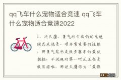 qq飞车什么宠物适合竞速 qq飞车什么宠物适合竞速2022