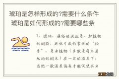 琥珀是怎样形成的?需要什么条件 琥珀是如何形成的?需要哪些条件