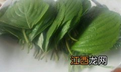 怎么腌苏子叶咸菜好吃 怎么腌苏子叶咸菜