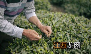 茶叶利润率一般是多少，茶叶销售利润率一般是多少