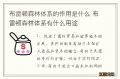 布雷顿森林体系的作用是什么 布雷顿森林体系有什么用途