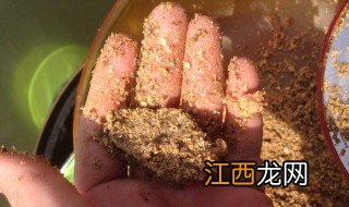 北方秋天钓鱼用什么饵料好 北方秋天钓鱼用什么饵料