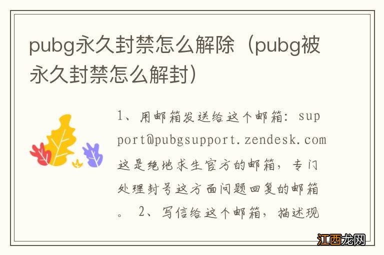 pubg被永久封禁怎么解封 pubg永久封禁怎么解除