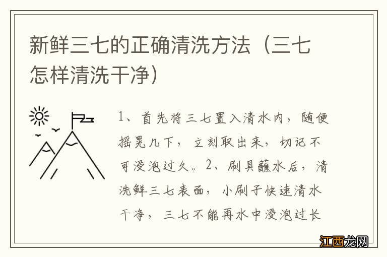 三七怎样清洗干净 新鲜三七的正确清洗方法