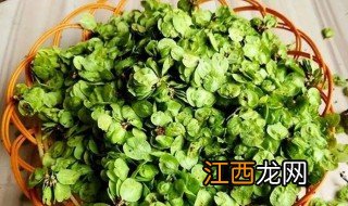 新鲜榆钱长期保存方法 榆钱如何保存保鲜