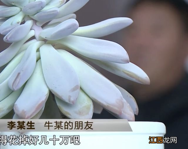 新婚一年从未同房，不久后妻子怀孕，丈夫：没有同房孩子是谁的？