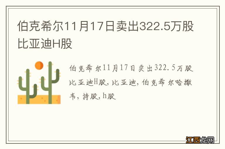 伯克希尔11月17日卖出322.5万股比亚迪H股