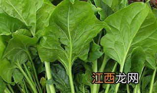 菠菜有什么营养成分 菠菜有什么营养成分含量