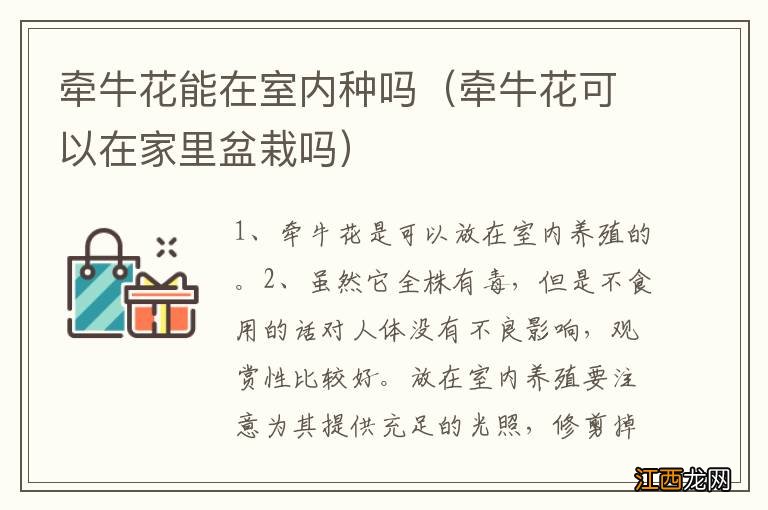 牵牛花可以在家里盆栽吗 牵牛花能在室内种吗