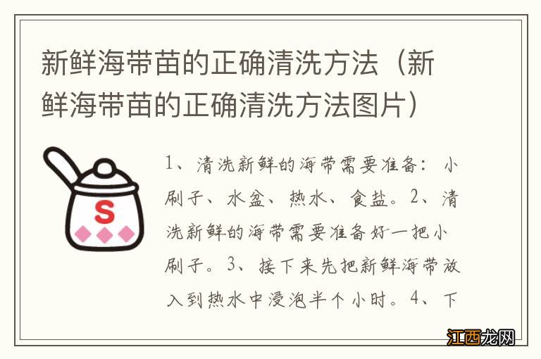 新鲜海带苗的正确清洗方法图片 新鲜海带苗的正确清洗方法