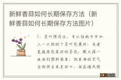 新鲜香蒜如何长期保存方法图片 新鲜香蒜如何长期保存方法