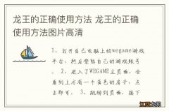 龙王的正确使用方法 龙王的正确使用方法图片高清