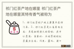 祁门红茶产地在哪里 祁门红茶产地在哪里其特有香气被称为