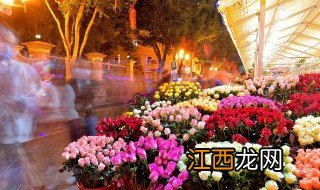 玫瑰花有什么品种 玫瑰花有什么品种的代表意义