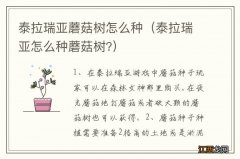 泰拉瑞亚怎么种蘑菇树? 泰拉瑞亚蘑菇树怎么种