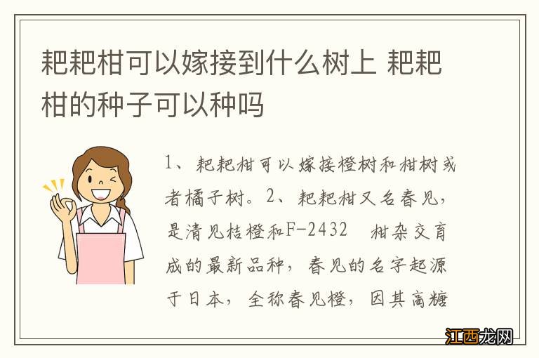 耙耙柑可以嫁接到什么树上 耙耙柑的种子可以种吗