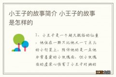 小王子的故事简介 小王子的故事是怎样的