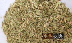 秋季几月种茴香最好 秋季几月种茴香