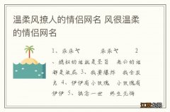 温柔风撩人的情侣网名 风很温柔的情侣网名