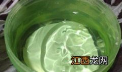 种芦荟几天浇一次水合适 种芦荟几天浇一次水