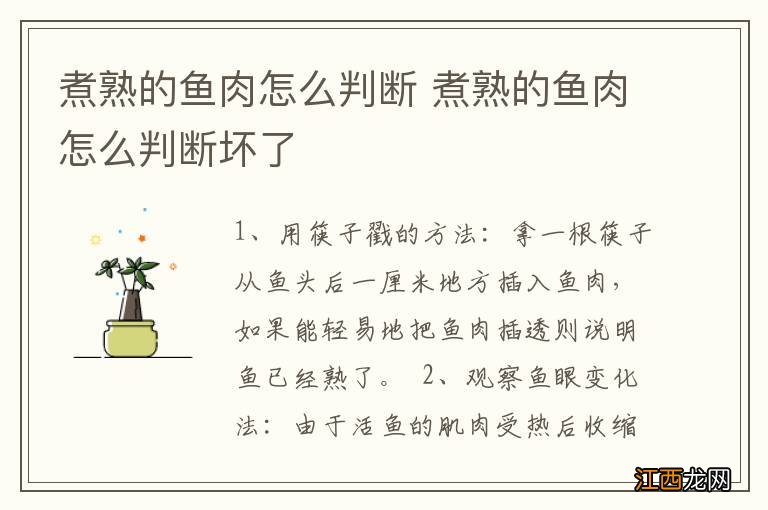 煮熟的鱼肉怎么判断 煮熟的鱼肉怎么判断坏了