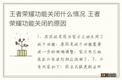 王者荣耀功能关闭什么情况 王者荣耀功能关闭的原因