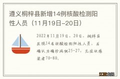 11月19日-20日 遵义桐梓县新增14例核酸检测阳性人员
