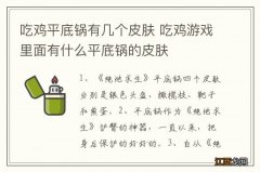 吃鸡平底锅有几个皮肤 吃鸡游戏里面有什么平底锅的皮肤