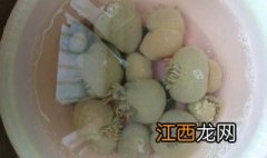 沙蒜怎么泡发最好 沙蒜怎么泡发