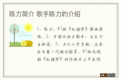 陈力简介 歌手陈力的介绍