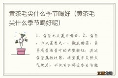 黄茶毛尖什么季节喝好呢 黄茶毛尖什么季节喝好