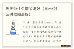 焦米茶什么时候喝最好 焦栆茶什么季节喝好