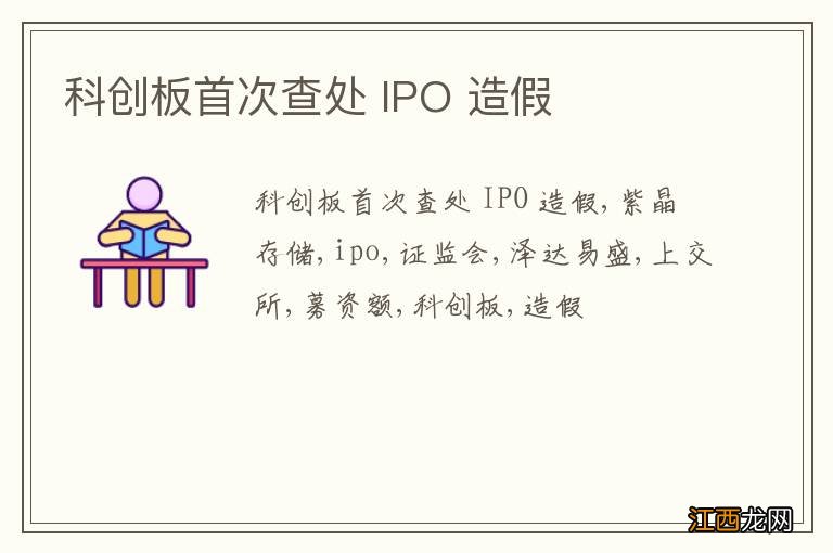 科创板首次查处 IPO 造假