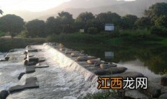 修乡村公路填方挖了林地有责任吗