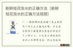 新鲜桂花泡水的正确方法视频 新鲜桂花泡水的正确方法