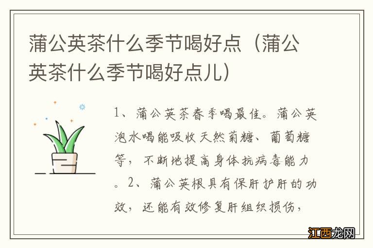 蒲公英茶什么季节喝好点儿 蒲公英茶什么季节喝好点