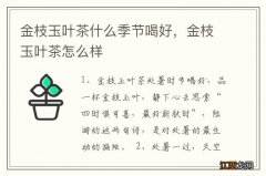 金枝玉叶茶什么季节喝好，金枝玉叶茶怎么样