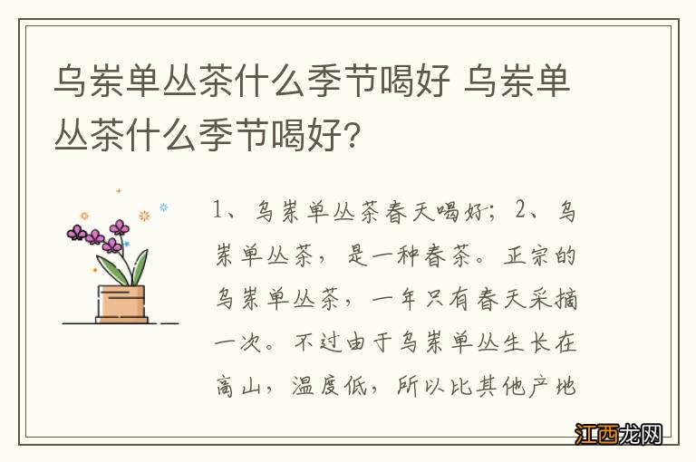 乌岽单丛茶什么季节喝好 乌岽单丛茶什么季节喝好?