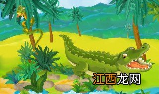 鳄鱼是不是哺乳动物 鳄鱼介绍