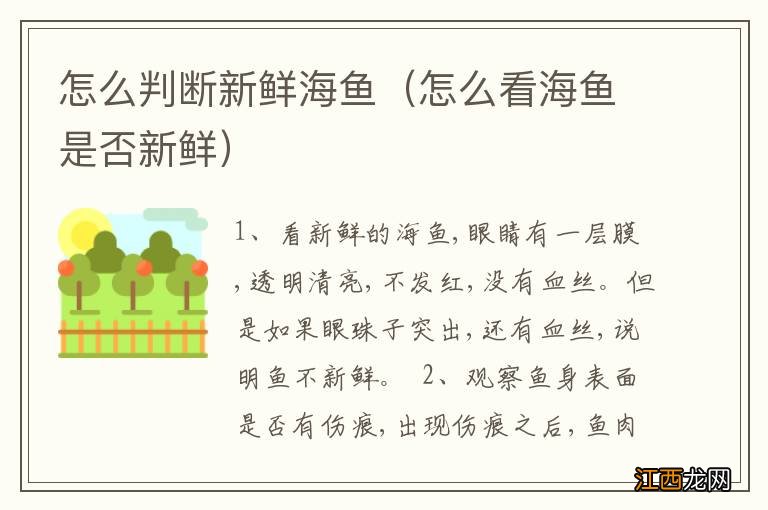 怎么看海鱼是否新鲜 怎么判断新鲜海鱼