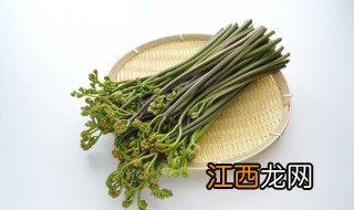 如何辨别蕨菜 蕨菜怎么判断新鲜不新鲜