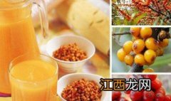 沙棘怎么做成饮料的 沙棘怎么做成饮料