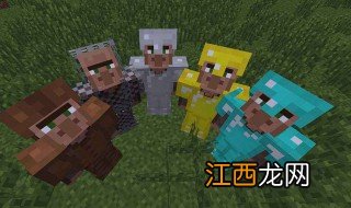 我的世界怎么运输村民 我的世界运输村民方法介绍