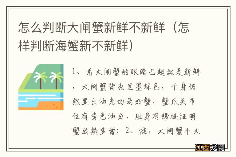 怎样判断海蟹新不新鲜 怎么判断大闸蟹新鲜不新鲜