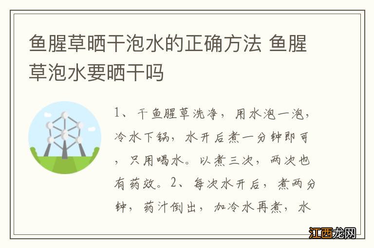 鱼腥草晒干泡水的正确方法 鱼腥草泡水要晒干吗