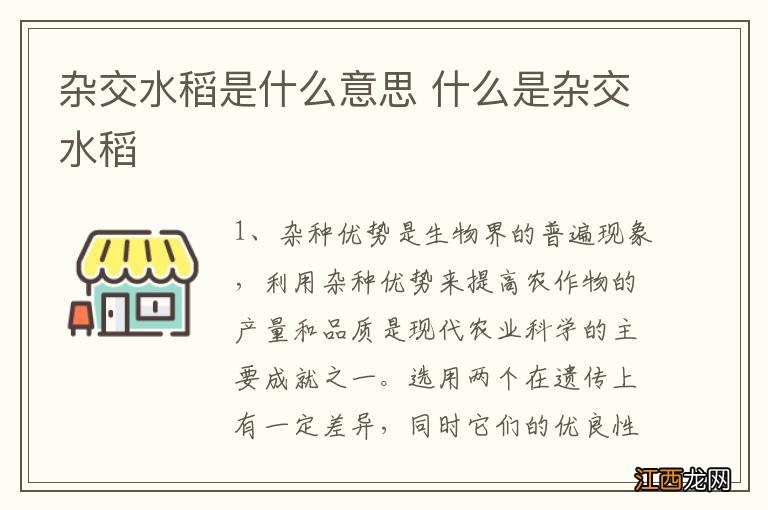 杂交水稻是什么意思 什么是杂交水稻