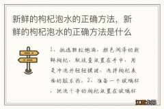 新鲜的枸杞泡水的正确方法，新鲜的枸杞泡水的正确方法是什么