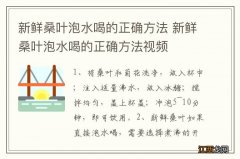 新鲜桑叶泡水喝的正确方法 新鲜桑叶泡水喝的正确方法视频